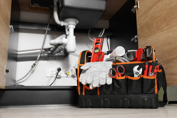 Best Clogged Drain Plumber  in Anthony, NM